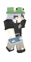 Skin preview