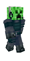 Skin preview