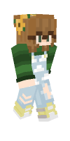 Skin preview
