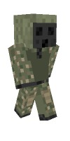 Skin preview