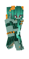 Skin preview