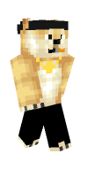 Skin preview