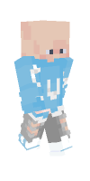 Skin preview