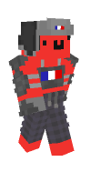 Skin preview