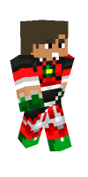 Skin preview