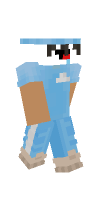 Skin preview