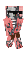 Skin preview