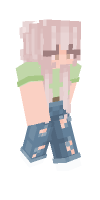 Skin preview