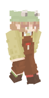 Skin preview