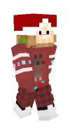 Skin preview