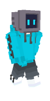 Skin preview