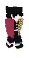 Skin preview