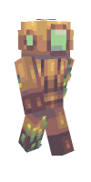 Skin preview