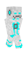 Skin preview