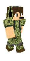 Skin preview