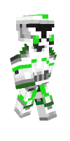Skin preview