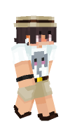 Skin preview