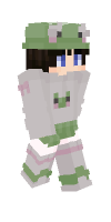 Skin preview