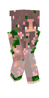 Skin preview