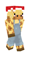 Skin preview
