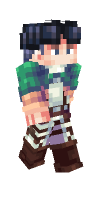 Skin preview