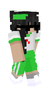 Skin preview