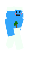 Skin preview