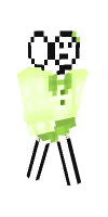 Skin preview