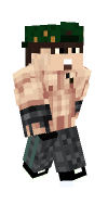 Skin preview