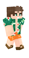 Skin preview