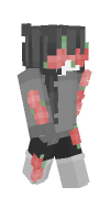 Skin preview