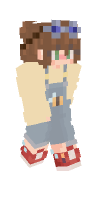 Skin preview